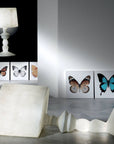 Alibabig Floor Lamp