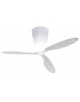 Blow Ceiling Fan