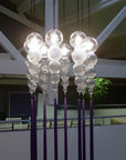 Carlotta Suspension