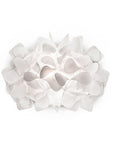 Clizia Sconce