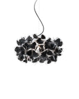Clizia Suspension