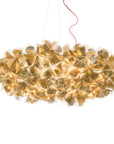 Clizia Suspension
