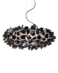 Clizia Suspension