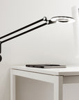 Link Sconce