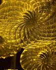 Mirage Chandelier