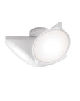 Orchid Flush Mount
