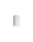 Pivot Flush Mount