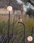 Pois Outdoor Floor Lamp