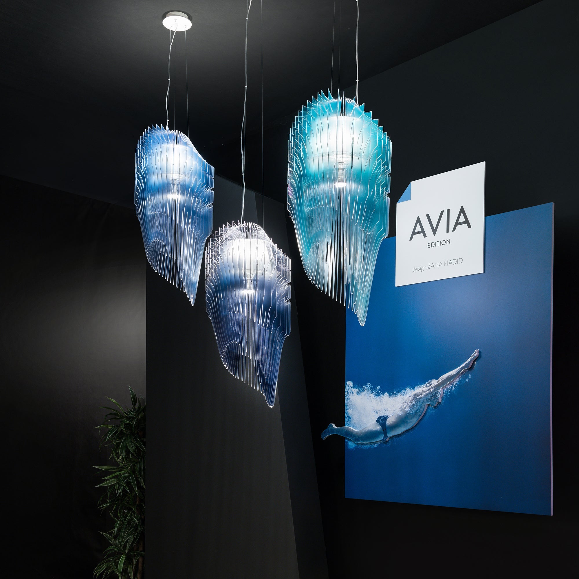 Avia Suspension