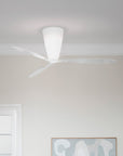 Blow Ceiling Fan