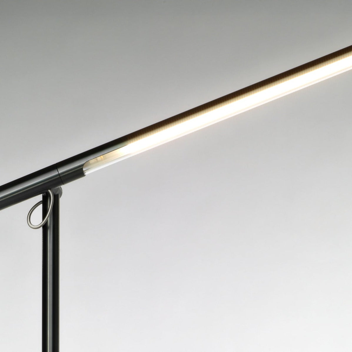 Brazo Floor Lamp