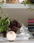 Maoo Table Lamp