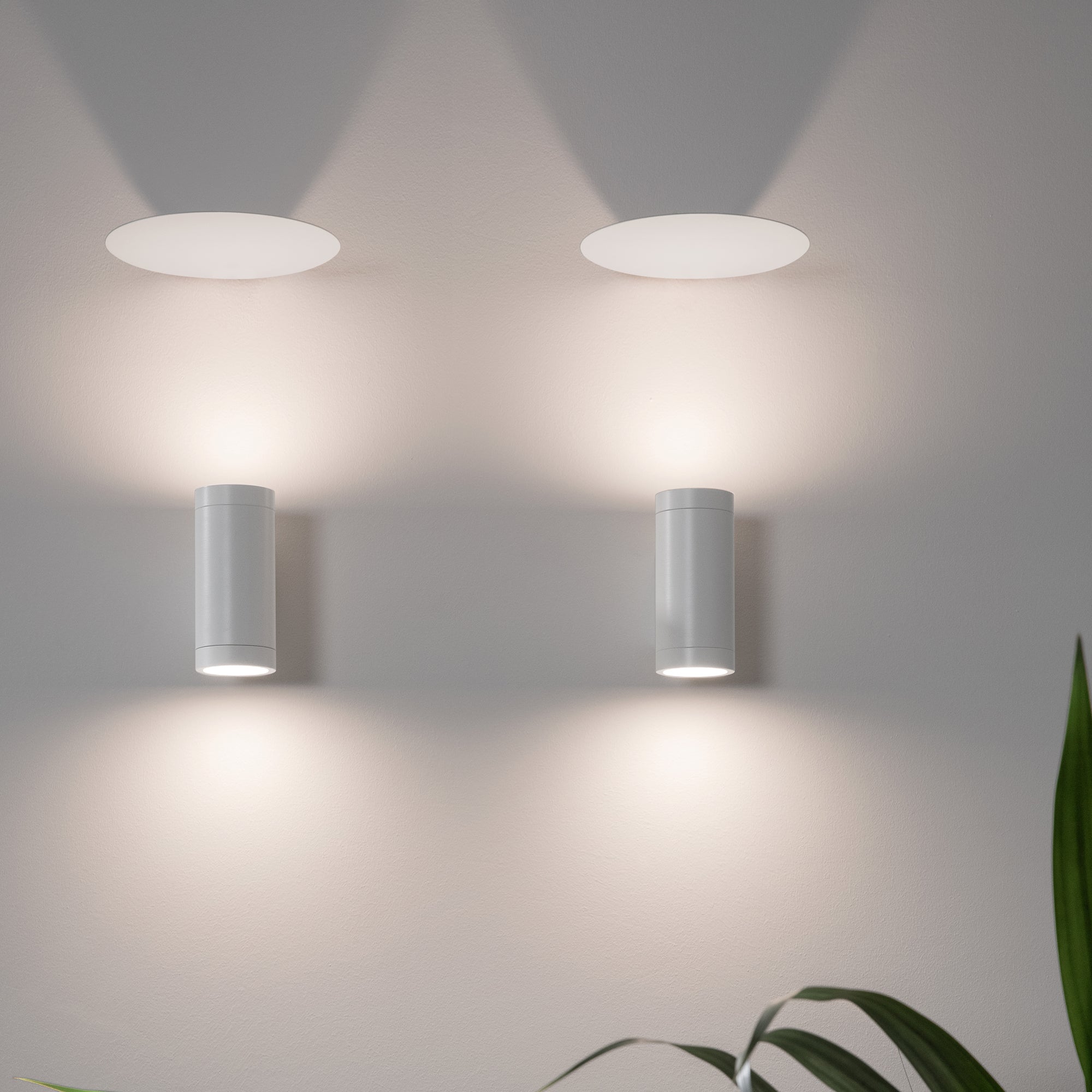 Modiva Sconce