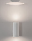 Modiva Sconce