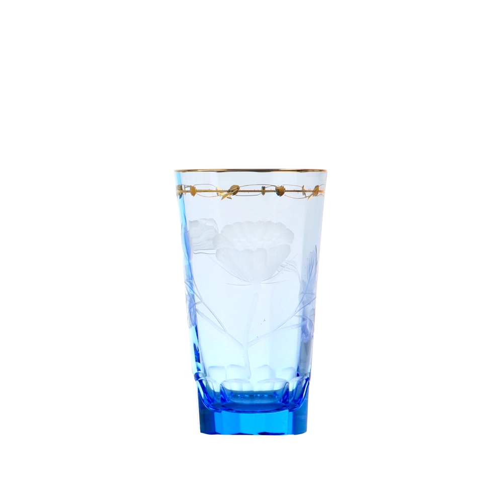 Paula Water Glass