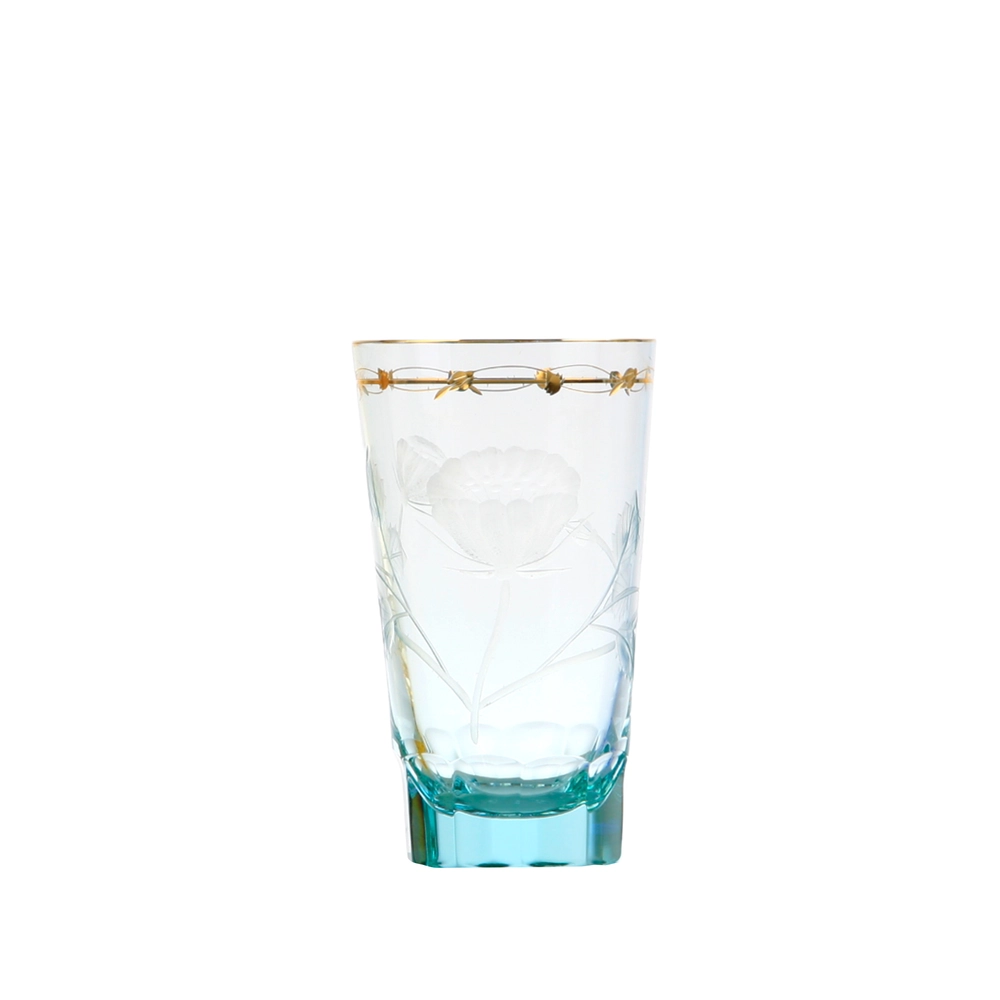 Paula Water Glass