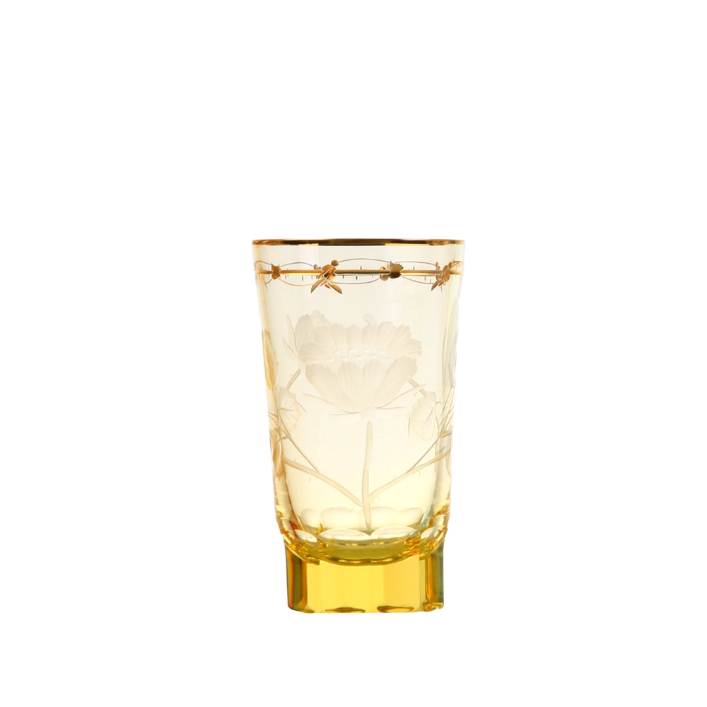 Paula Water Glass