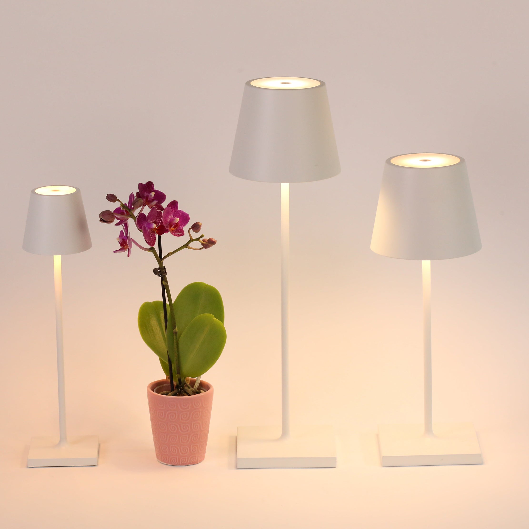 Poldina Pro Micro Table Lamp