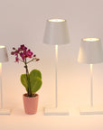 Poldina Pro Micro Table Lamp