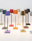 Poldina Pro Micro Table Lamp